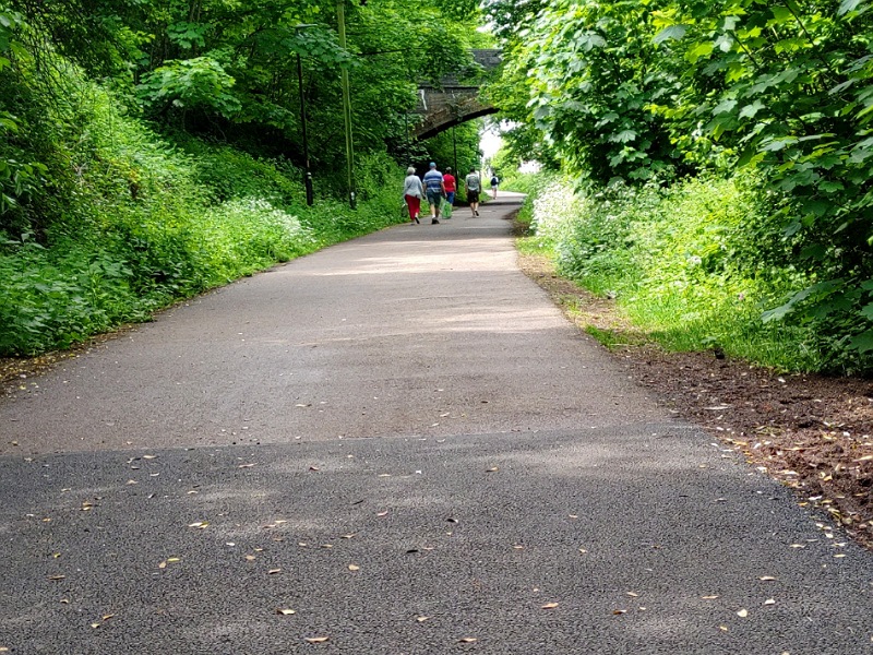 Honeybourne line resurfacing works showing a section of newly laid tarmac ending as tree root disturbance continues